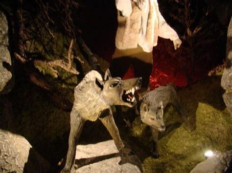 Museum of the Beast of Gevaudan – Saugues, France - Atlas Obscura