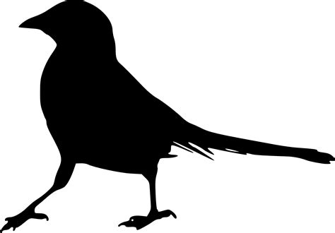 Bird Silhouette Clip art - birds silhouette png download - 2000*1394 - Free Transparent Bird png ...