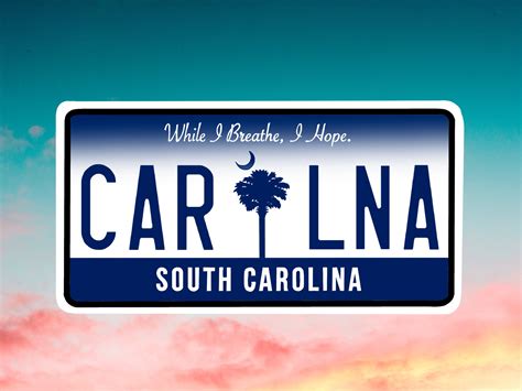 South Carolina License Plate 2024 - Trixy Hermione