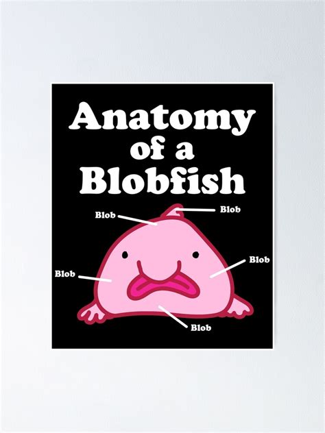 "Anatomy of A Blobfish Funny Ugly Fish Meme" Poster for Sale by ...