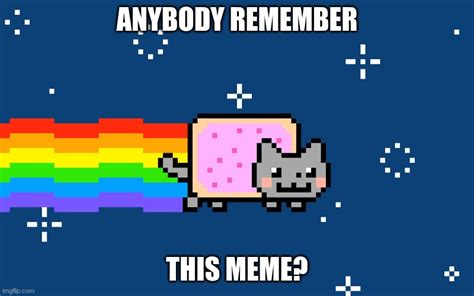 NYAN CAT - Imgflip