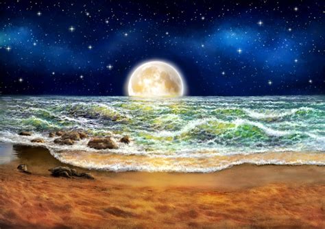 3D Moon Over The Ocean Wallpaper for Wall - Magic Decor