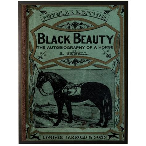 Vintage Black Beauty Book Cover – Trove Warehouse