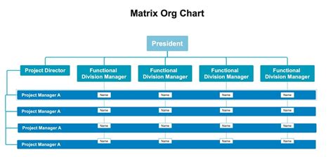 What Is a Matrix Organizational Chart and How To Make Them - EdrawMind