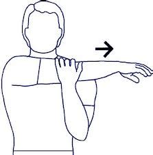 The Issue of Posture and the Rounded Shoulder - Alexandria Rehabilitation