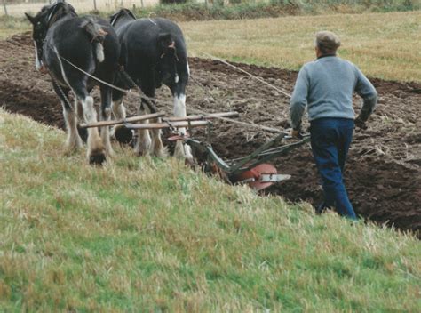 The Plough used in agriculture with Clydesdale horse and tractor - Scottish Heritage