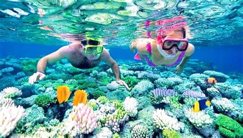 6 must do activities in The Maldives - Blog