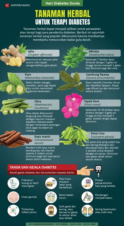 Tanaman herbal untuk terapi diabetes - ANTARA News