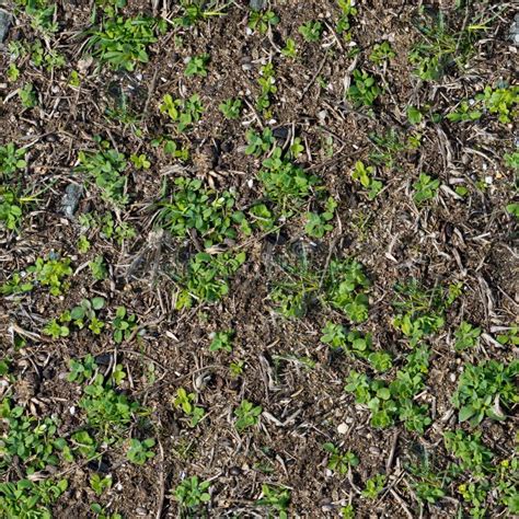 Soil with the Sprouted Grass Texture Seamless. Stock Photo - Image of green, grow: 29898878