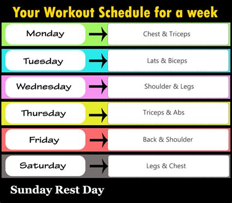 Full Week GYM Workout Plan | Fitness Workouts & Exercises