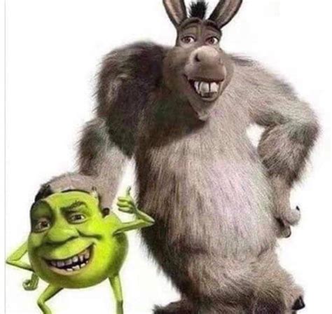 Shrek Wazowski and Donkey P. Sullivan - 9GAG