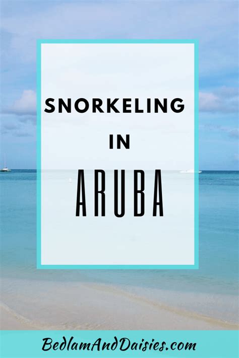 Snorkeling in Aruba - Bedlam & Daisies