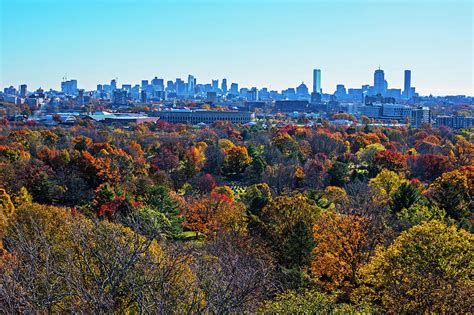 Boston Through the Autumn Trees Boston MA Sunny Day Mount Auburn Cemetery Photograph by Toby ...