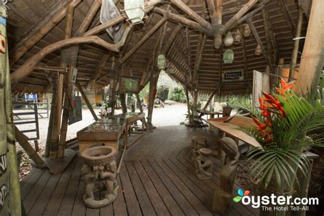 Tree House Lodge Review: What To REALLY Expect If You Stay