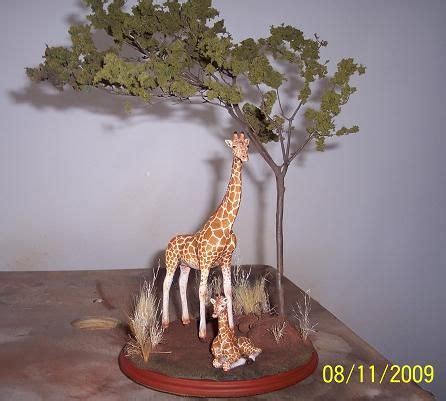 A Giraffe diorama | Bepflanzung, Diorama, Gartenteich bepflanzen