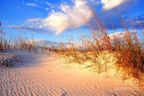 Sand Dune And Sea Oats At Sunset Photograph by Thomas R Fletcher