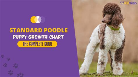 Standard Poodle Growth and Weight Chart (Male & Female) - K9 Web