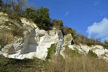 Seale Chalk Pit - Wikipedia