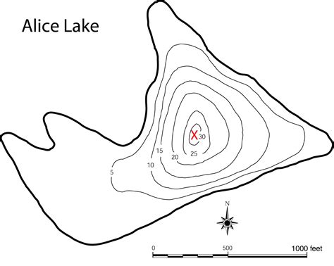 Lake Alice Topographic Map - Dolley Hollyanne