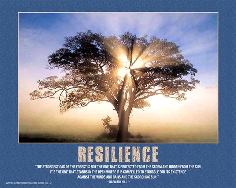 Resilience - Shakita Chan