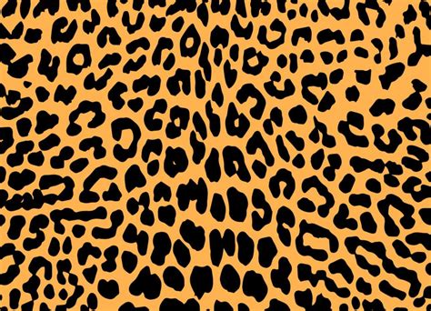 Leopard Pattern Wallpapers - Top Free Leopard Pattern Backgrounds - WallpaperAccess