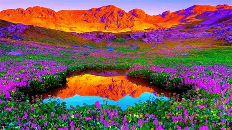 Let's Bow to The Colours of Nature