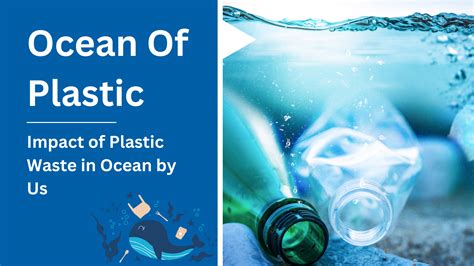 The Ocean of Plastic: A Speculative Look At The Impact By Us