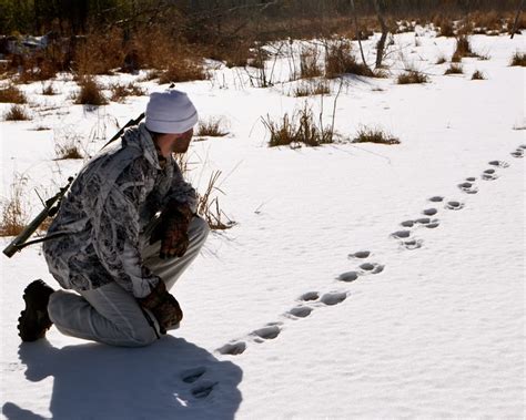 The Maine Outdoorsman: Predators, Bait Sites and Ice Fishing Preparations