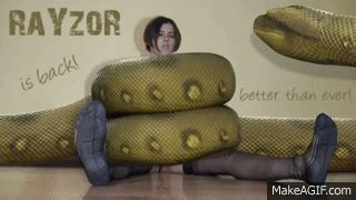 Anaconda Squeeze Constrict Test on Make a GIF