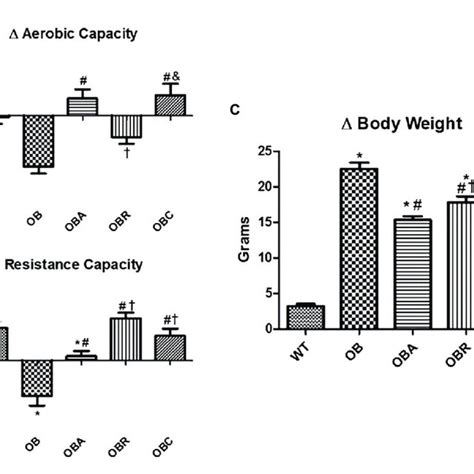 | Schematic figure of aerobic and resistance exercise session. Aerobic... | Download Scientific ...