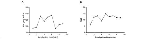 Optimization of the incubation time of primary and secondary... | Download Scientific Diagram