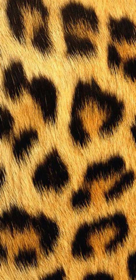 Animal, leopard, print, black, skin, gold, HD phone wallpaper | Peakpx