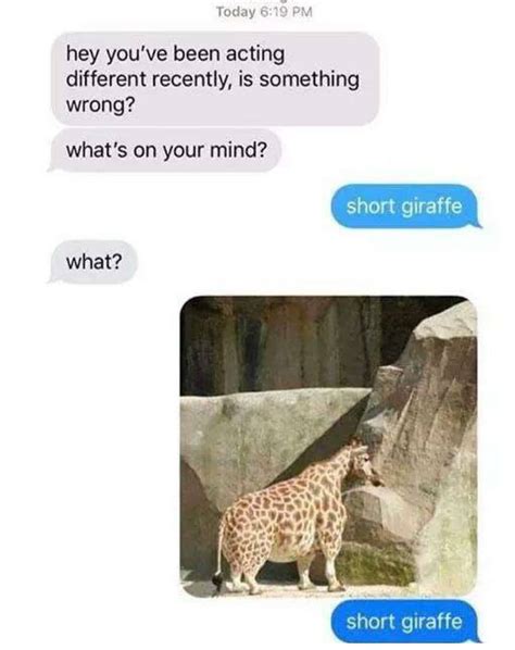 short giraffe | Really funny memes, Funny text conversations, Funny ...