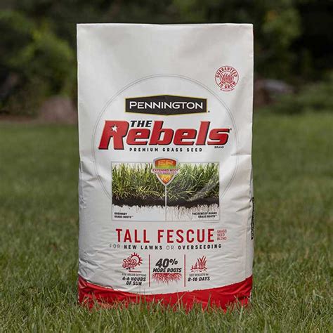 Pennington The Rebels Tall Fescue Grass Seed Blend