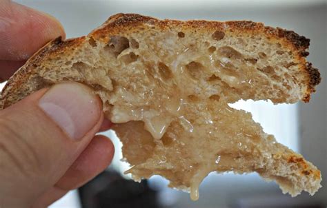 Trustworthy Sourdough Bread at Home - BELGIAN FOODIE