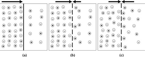 A schematic diagram simplified to include only two solutions of ...