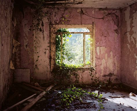 The Eerie Allure of Abandoned Houses | The New Yorker