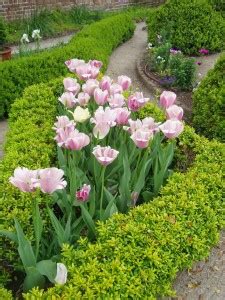 Heyward-Washington Garden – The Garden Club of Charleston, Inc