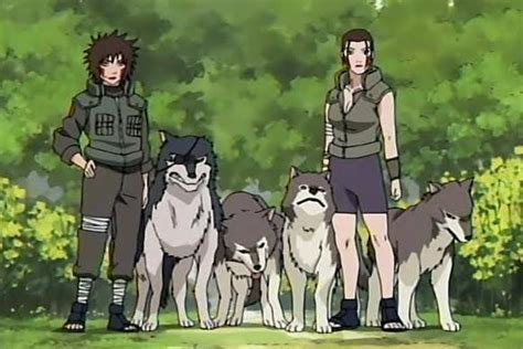 Clan Inuzuka | Naruto clans, Anime naruto, Anime