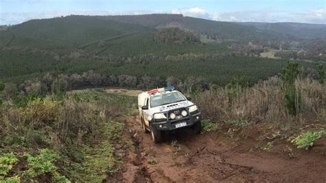 WA Police target ‘magic mushroom’ harvesting in South West town Balingup