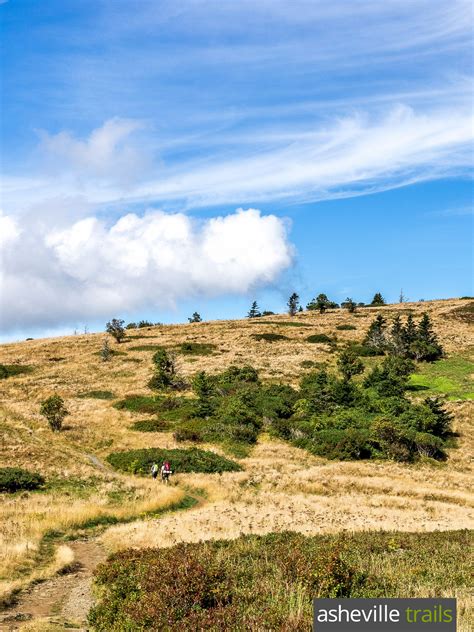 Roan Mountain: hiking the Appalachian Trail to Grassy Ridge | Appalachian trail hiking ...