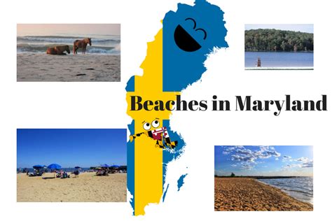 The Most Beautiful Beaches That You Can Find in Maryland - Ocean City