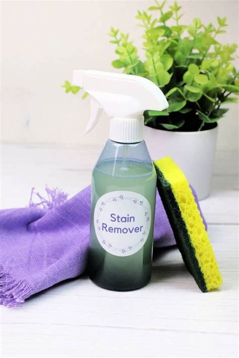 Homemade Pet Stain Carpet Cleaner | Simplify