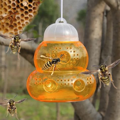 Hot Bee Tools Hornet Trapper Fly Bug Catching Traps Wasp Catcher ...