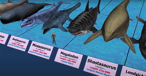 Just How Big Were Those Ancient Sea Creatures? - BARE Sports