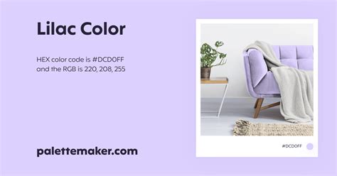 Lilac Color - HEX #DCD0FF Meaning and Live Previews - PaletteMaker