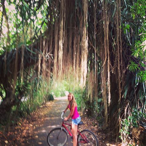 The bike path.. It was magical, beautiful, serene. | North shore oahu ...