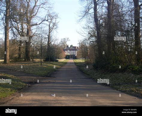 windsor great park Stock Photo - Alamy