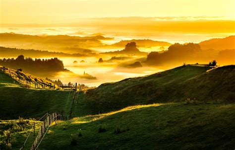 Golden Sunrise Wallpapers - Wallpaper Cave