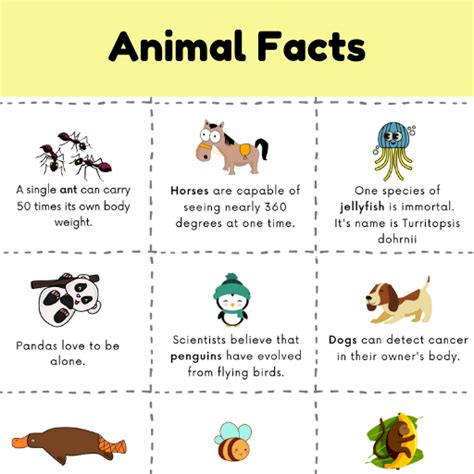 Top 110+ Some important facts about animals - Merkantilaklubben.org